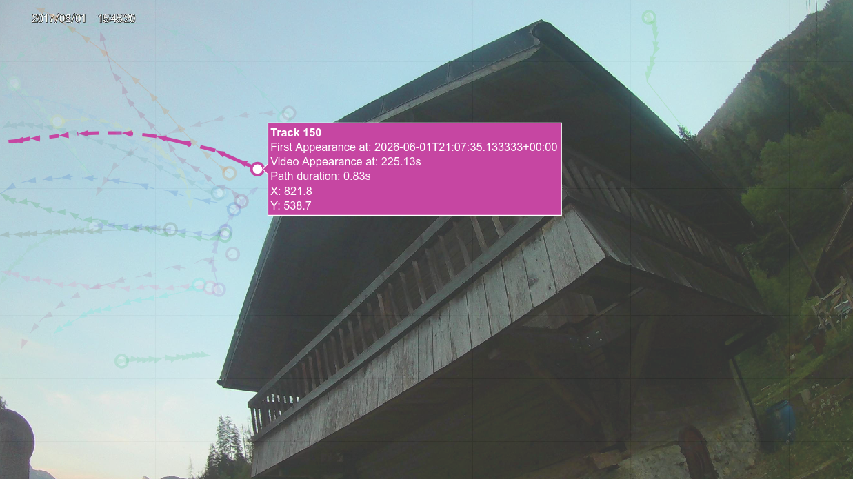 A single reconstructed bat trajectory displayed over a thermal video frame, showing the flight path from entry to exit.