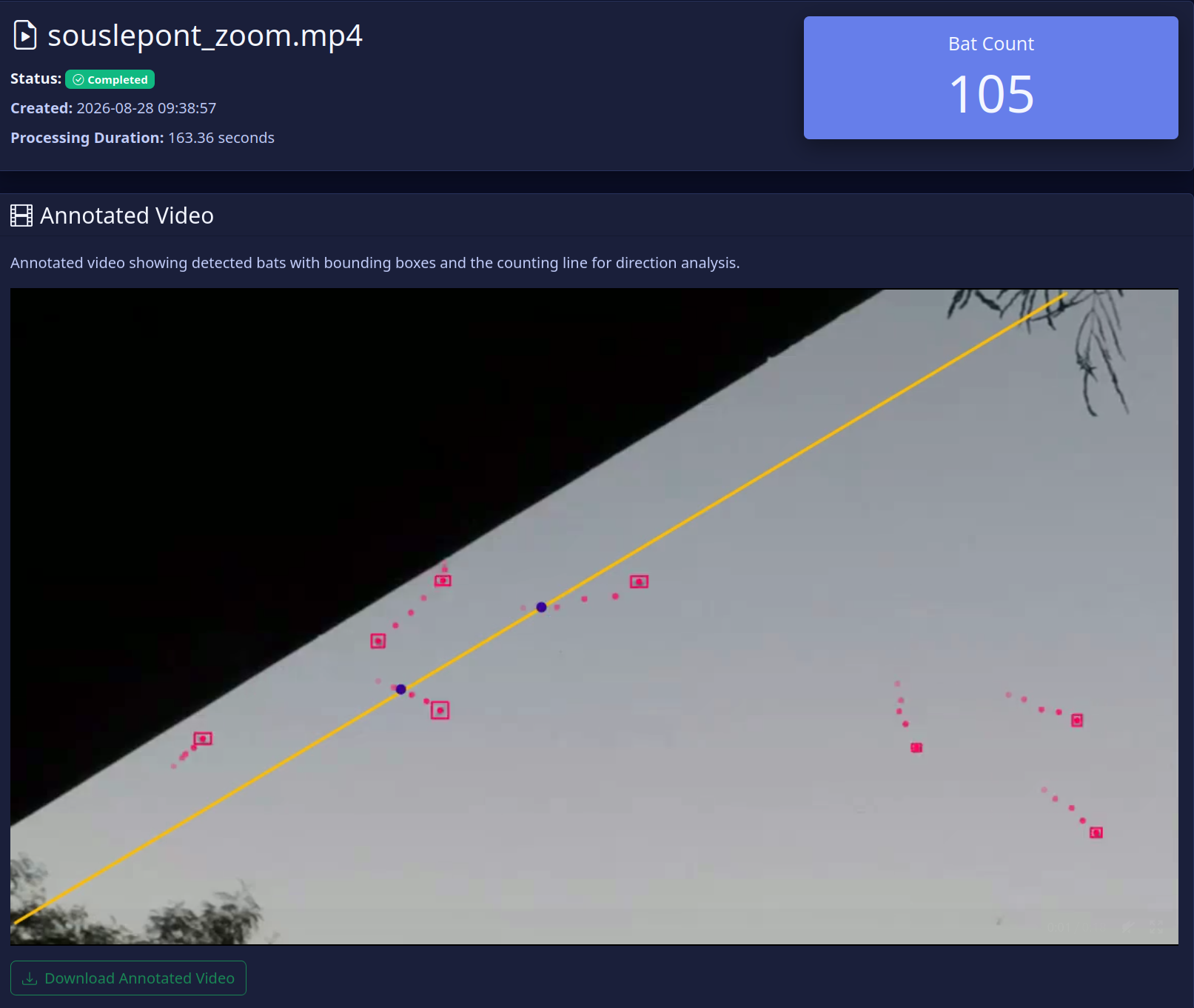 Track list view in TrackBats showing each bat crossing with timestamp, direction, and validation status.