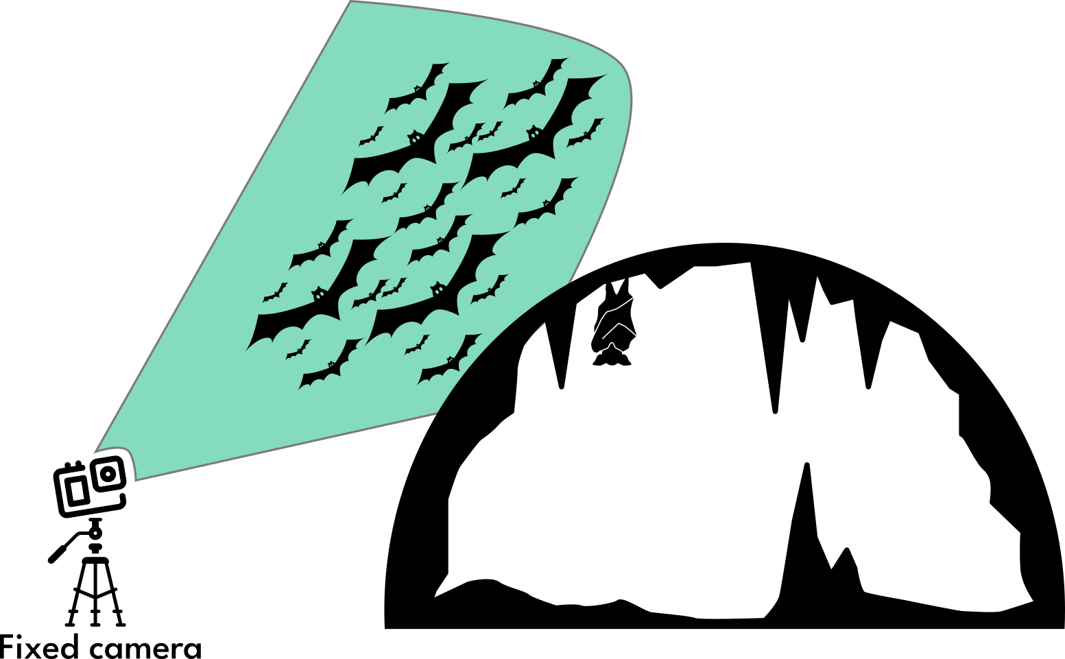 Standardized bat survey camera setup protocol - point camera upward from ground level toward cave opening with sky background